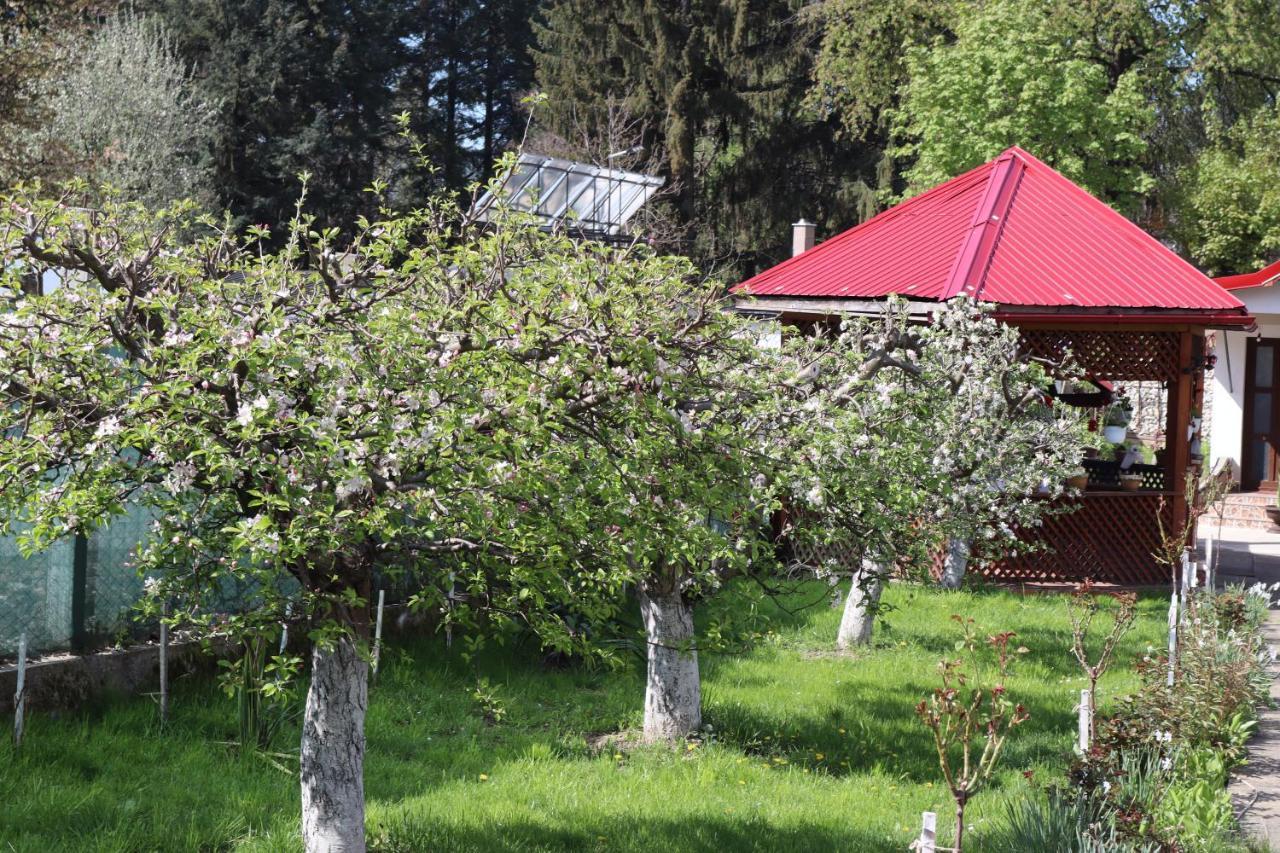 Accommodation Casa Luca Horezu Dış mekan fotoğraf